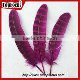 Natural Ringneck Rounds Cheap Dyed Pheasant Feathers Sale thumbnail-1