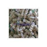 China Garlic thumbnail-1