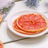 Grapefruit Slice Drying Machine thumbnail-4