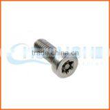 China Supplier Anti-theft Screw Tapping Screw