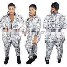 YF1217 Hot Sell Multi Color Women 2 Piece Set Clothing Autumn Two Piece Outfit Women Fall Zipper Coat Plus Size Two Piece Set thumbnail-1