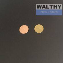 Blacked Stainless Steel Pinholes for Optical Systems thumbnail-4