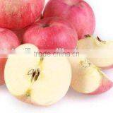 Superb Red Fuji Apple With High Sugar Content thumbnail-4