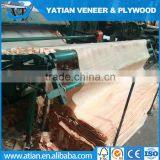 1.0mm Clean Plywood Sheet Okoume Veneer Linyi Factory thumbnail-3