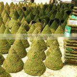 Duan New Garden Handicrafts Factory company overview - view 1 thumbnail