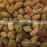 Sun Dried Raisin, New Crop 2015 thumbnail-5