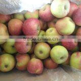 Unbagged Qinguan Apples thumbnail-6