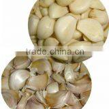 Stainless Steel Garlic Clove Peeling Machine thumbnail-3