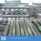 Pvc Coated Blue Color Green Color Hexagonal Wire Mesh thumbnail-5