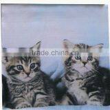 2015 Fashion Photo Printing Designer Cushion Cover/pillow Case thumbnail-5