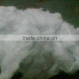 White Shoddy thumbnail-1