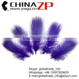 ZPDECOR Wholesale Bulk Dyed Purple Mallard Duck Flank Feathers