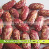 Price for Sugar Beans, Purple Speckled Kidney Beans New Crop