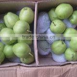 fresh early matured su pear Chinese Fresh pear pome Su pears
