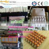 Mask Tray Paper Line/ Waster Paper Egg Tray Machine thumbnail-1