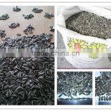 Sunflower Seeds 5009 New Crop 2014 thumbnail-1