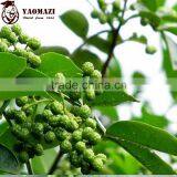 Flavoring Oil for Hotpot and Fishes thumbnail-2