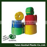 Gonhal PP Danline 3 Strands 38mmx220m Twisted Rope