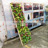 Indoor Decoration Artificial Mini Succulent Plants Wall thumbnail-2