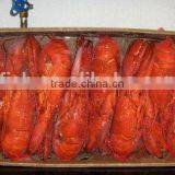 Lobster Homard thumbnail-2