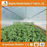Heracles Trade Assurance Vegetable Seeds Greenhouse thumbnail-4