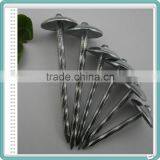 Galvanized Umbrella Head Roofing Nails Factory thumbnail-6