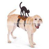 Cat Rider Pet Costume thumbnail-1