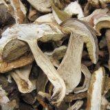 Dried Edible Mushroom Fungus Boletus Edulis Sliced