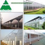 Smart Greenhouse for Large-Scale Agriculture Farming