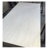 Poplar 4x8 veneer plywood