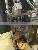 Professional Shisha Tobacco Packaging Machine Packet More Beautiful thumbnail-3