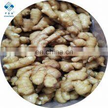 2020 Crop High Quality Fresh and Air Ginger thumbnail-2