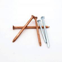 POWER Boat Building Nails Q195 | Strong Holding Power | On-Time Shipment thumbnail-3