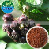 Natural Chokeberry Extract Anthocyanidins