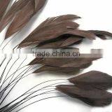 Stripped Brown Coque Tails Fringe Rooster Feather Trim thumbnail-1