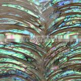 2011 Newest Paua Shell Mosaic Sheets
