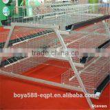 New A Type Layer Chicken Cages for Poultry House thumbnail-2
