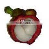 Mangosteen Fruit Garcinia Mangostana thumbnail-1