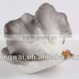 Artificial Vegetable Decoration Abalone Mushroom x 5 thumbnail-1