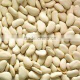 Butter Bean thumbnail-1