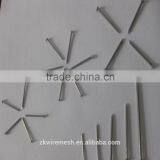 1/2"-13" High Quality Common Nails/ Stainless Steel Nail
