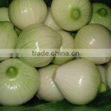 Onion Processing Line/onion Peeling Cutting Washing Machine/onion Peeler Cutter Washer thumbnail-4