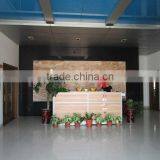 Jiangmen Dianyi Display System Manufactory Co., Ltd. company overview - view 3 thumbnail