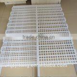 Chicken Plastic Floor for Slats thumbnail-3