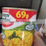 Canned Sweet Corn Kernel thumbnail-2