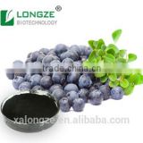 Europe Blueberry Fruit Powder Extract Anthocyanins 35%