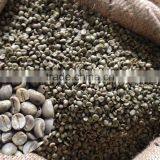 ARABICA GREEN COFFEE BEANS-HIGH QUALITY/ GOOD PRICE thumbnail-5