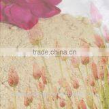 Amino Acid Organic Fertilizer Raw Material thumbnail-1