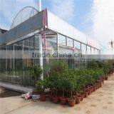 Plastic Film Horticultural Green House for Flower and Vegetable thumbnail-1