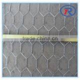 Trade Assurance 1 Inch Galvanized Welded Wire Mesh thumbnail-3
